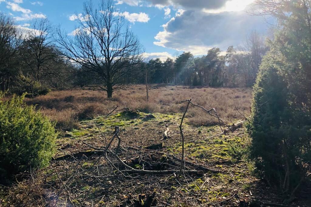 Vakantiebungalow In Bosrijke Omgeving Luttenberg Villa Bagian luar foto