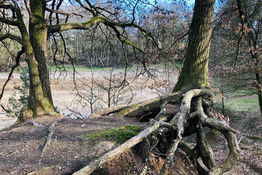 Vakantiebungalow In Bosrijke Omgeving Luttenberg Villa Bagian luar foto